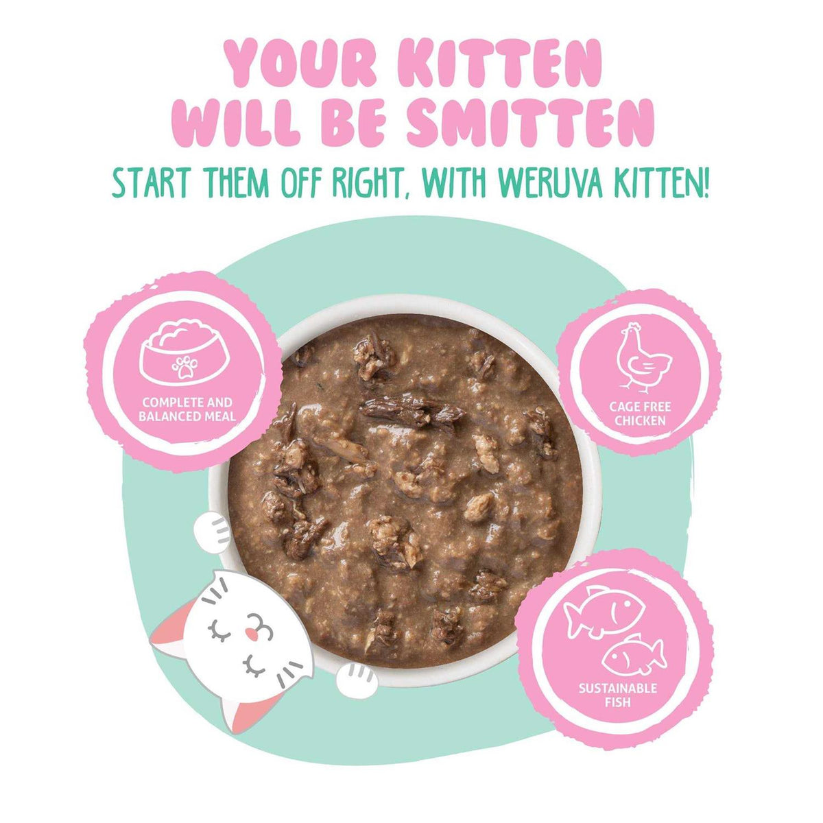 Chicken & Tuna Formula in Gravy Wet Cat Food R992