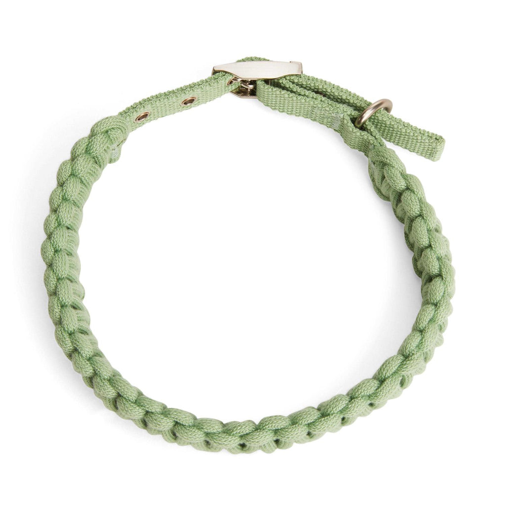 Macrame Dog Collar T759419