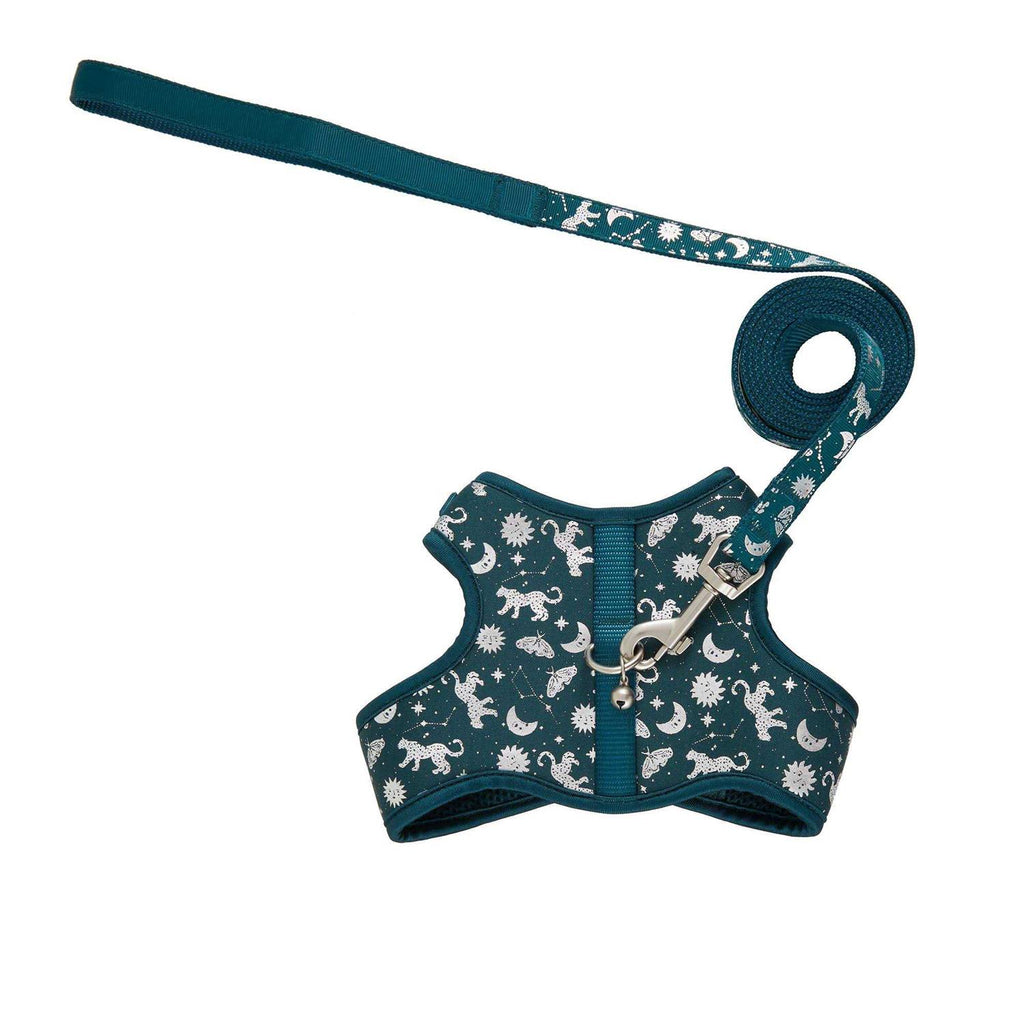 Cat Leash and Harness Combo E701780