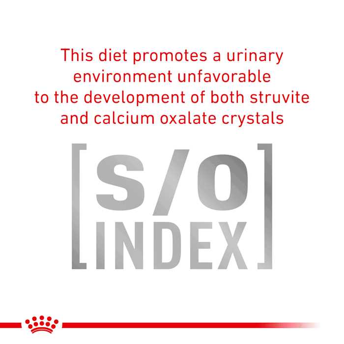 Moderate Calorie Dry Dog Food N4311