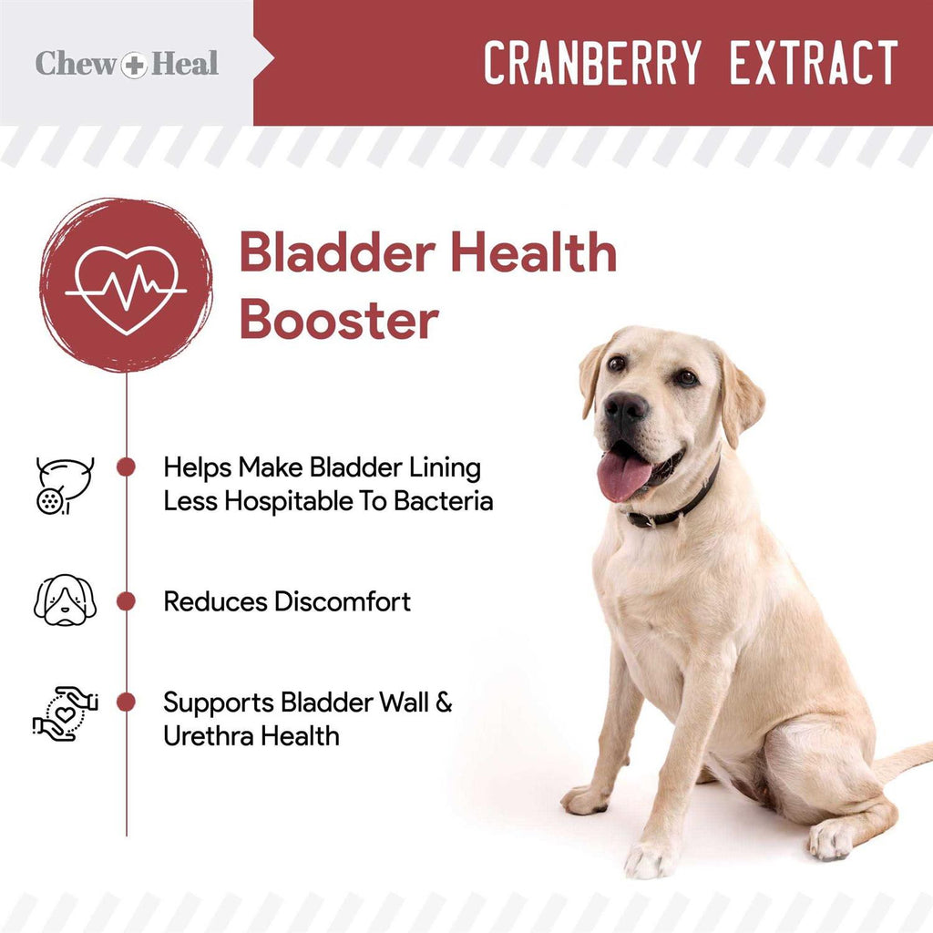 Cranberry Chews for Dogs K17475