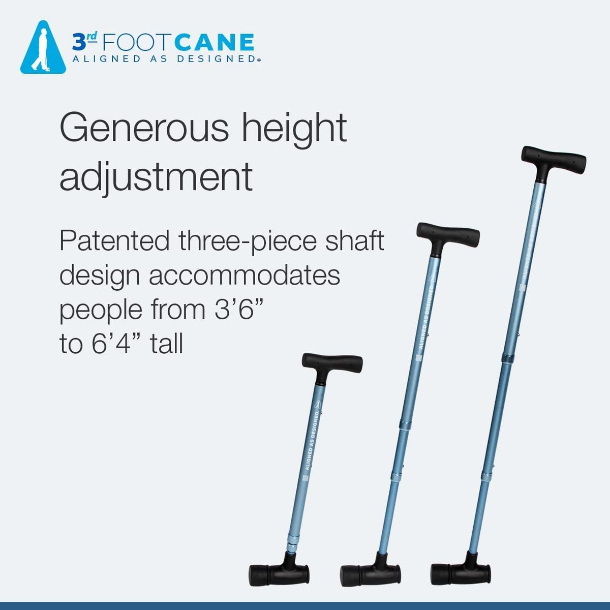 Cane Pack of 2 E517872