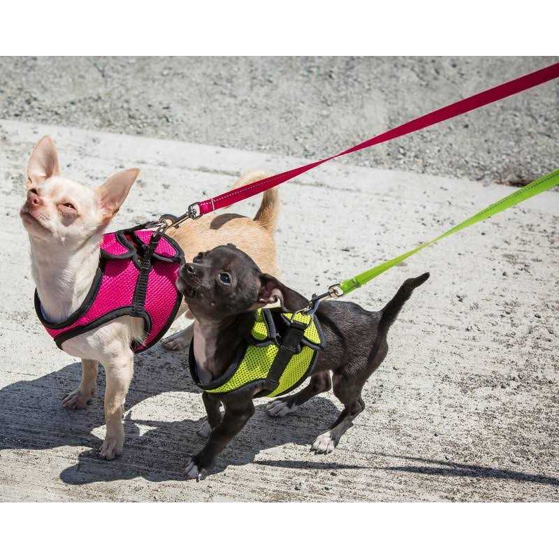 Step in Dog Harness B8943