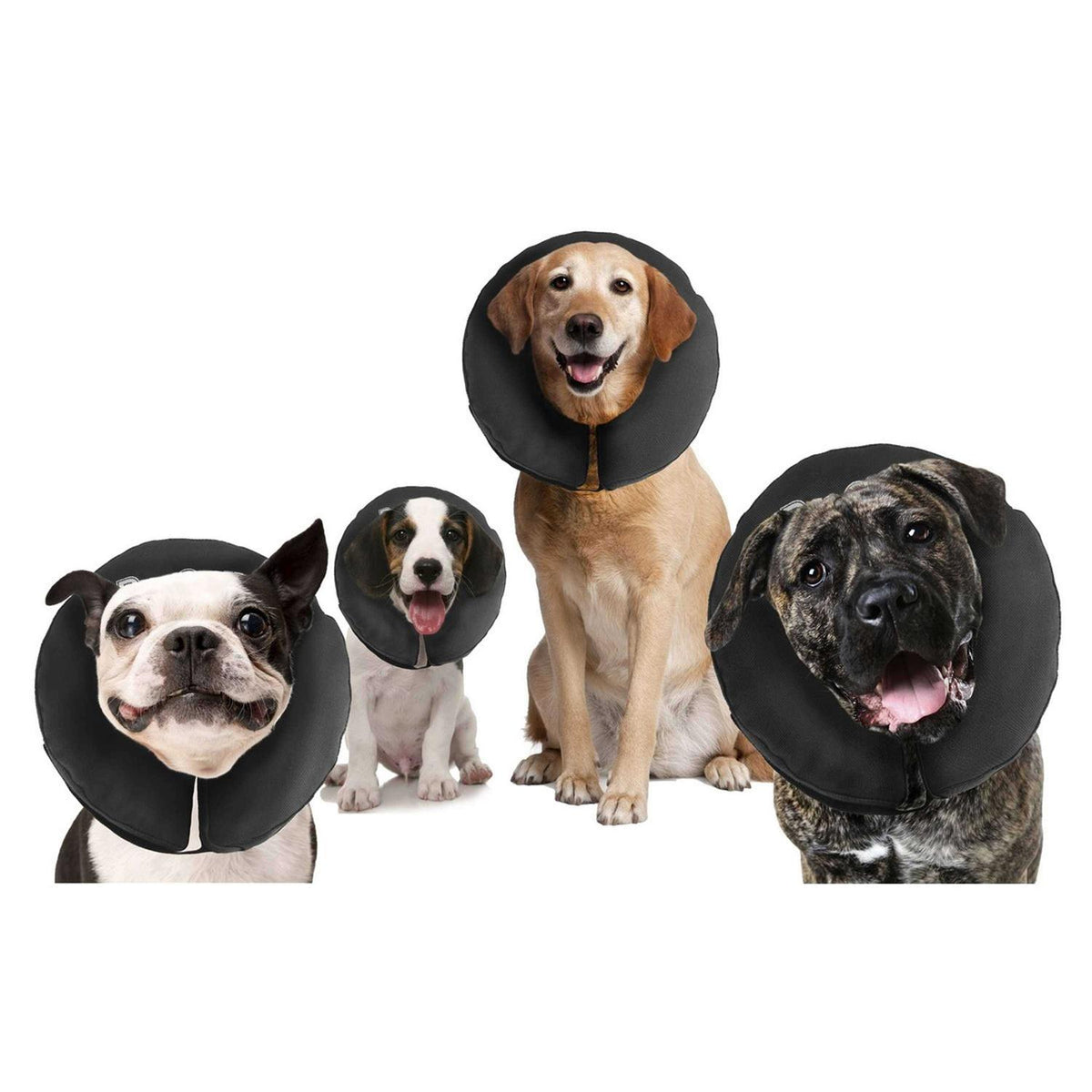 Inflatable Recovery Collar C114