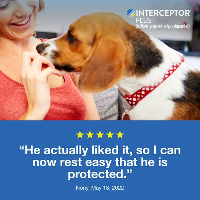 Chewable for Dogs T971