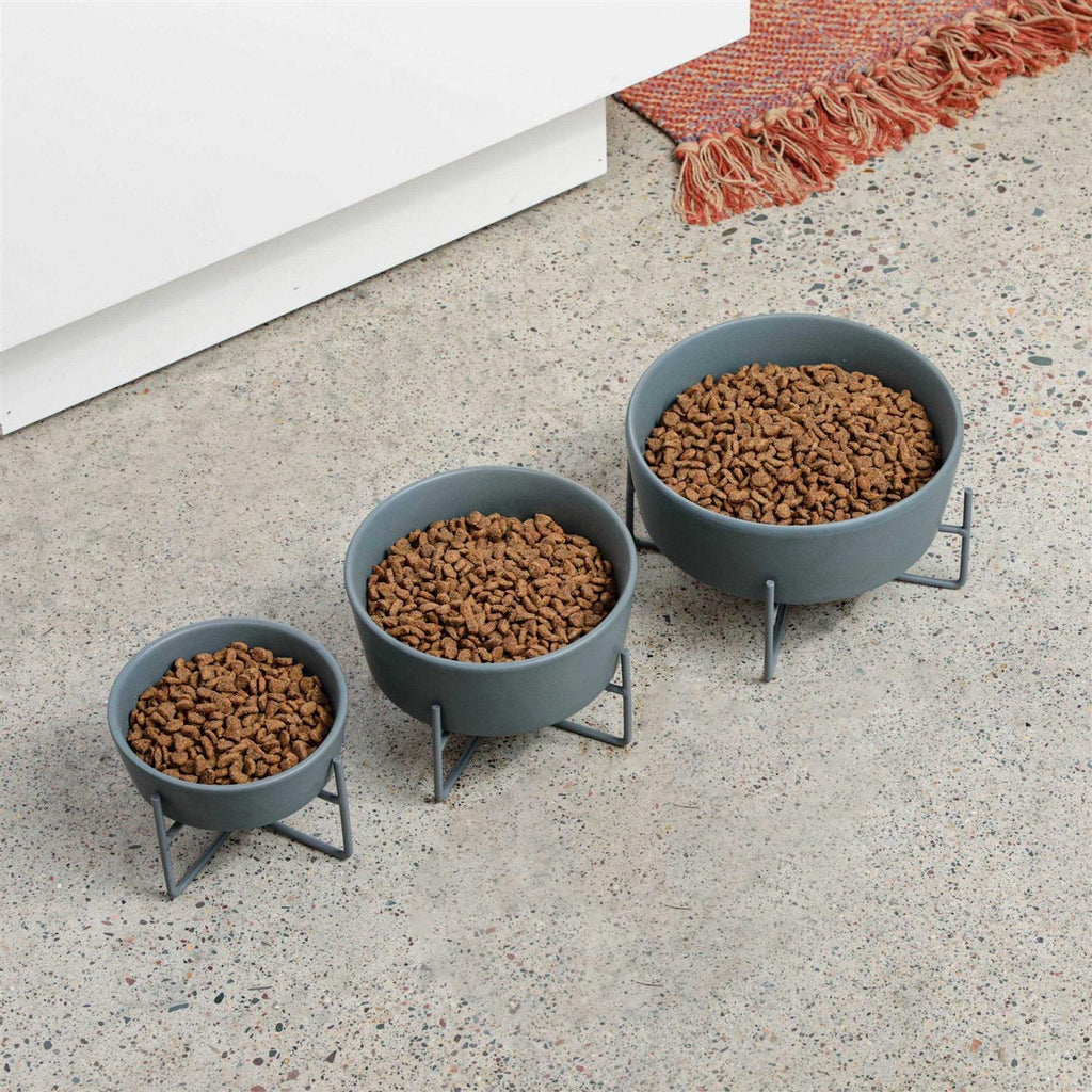 Solid Bowl + Dog Bowl Stand Y6852