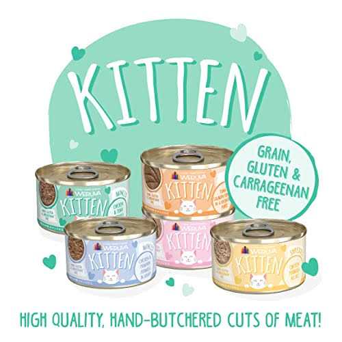 Chicken & Tuna Formula in Gravy Wet Cat Food R992
