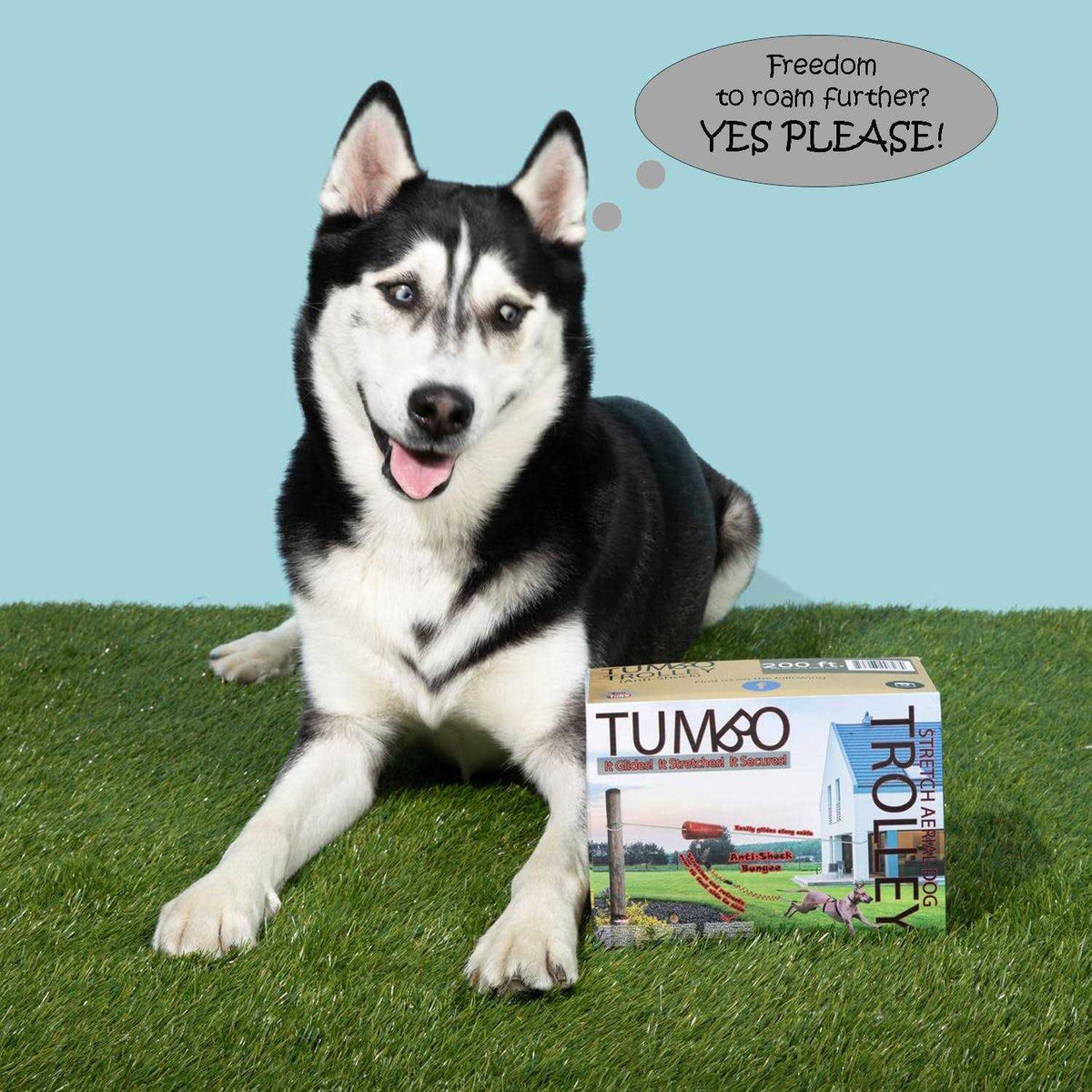 Anti-Shock Aerial Dog Runner S769929