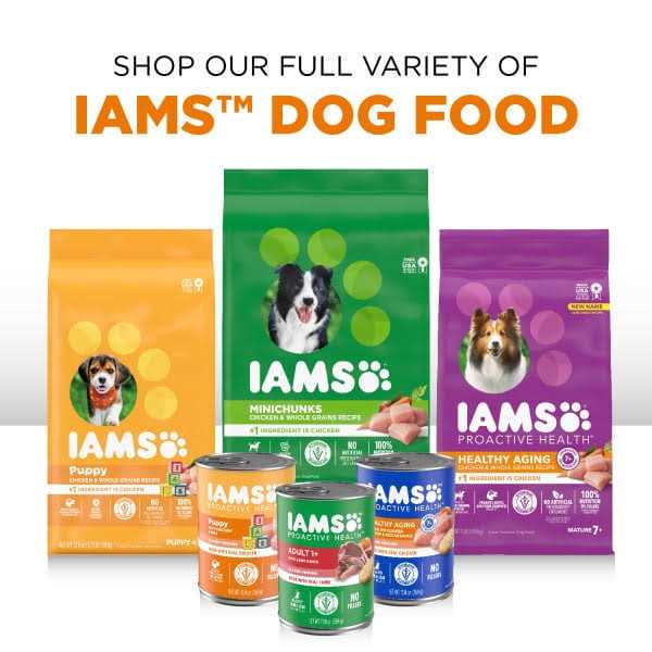 Wet Dog Food Variety Pack D774