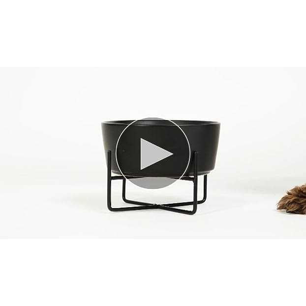 Solid Bowl + Dog Bowl Stand Y6852