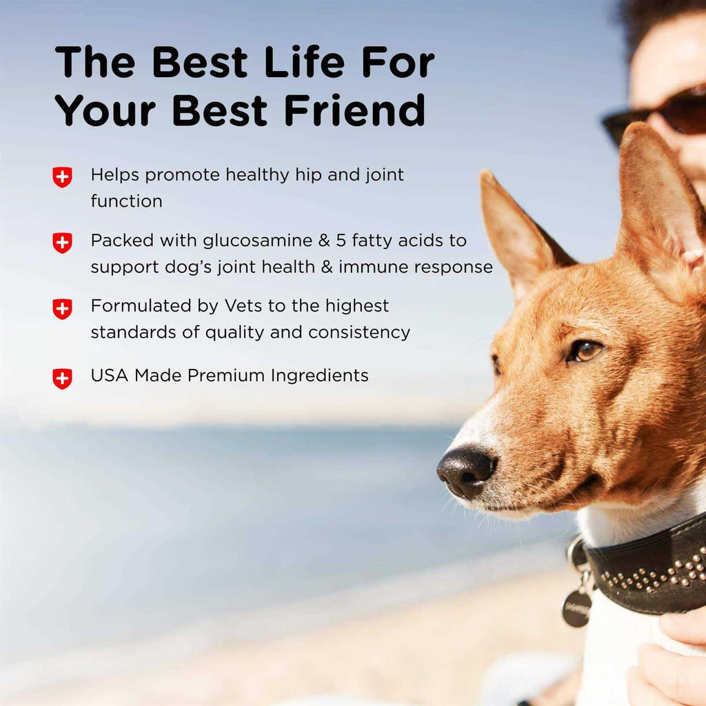 Joint Action Formula for Dogs I447