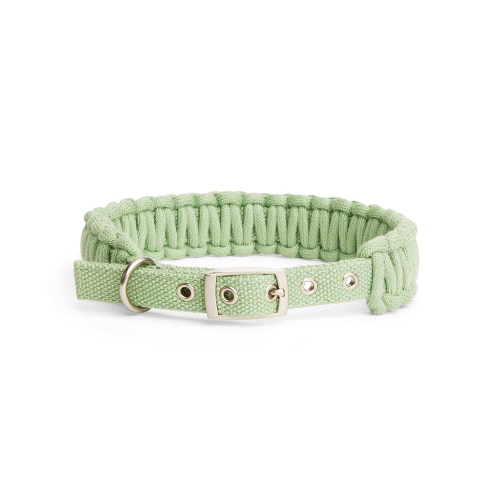 Macrame Dog Collar T759419