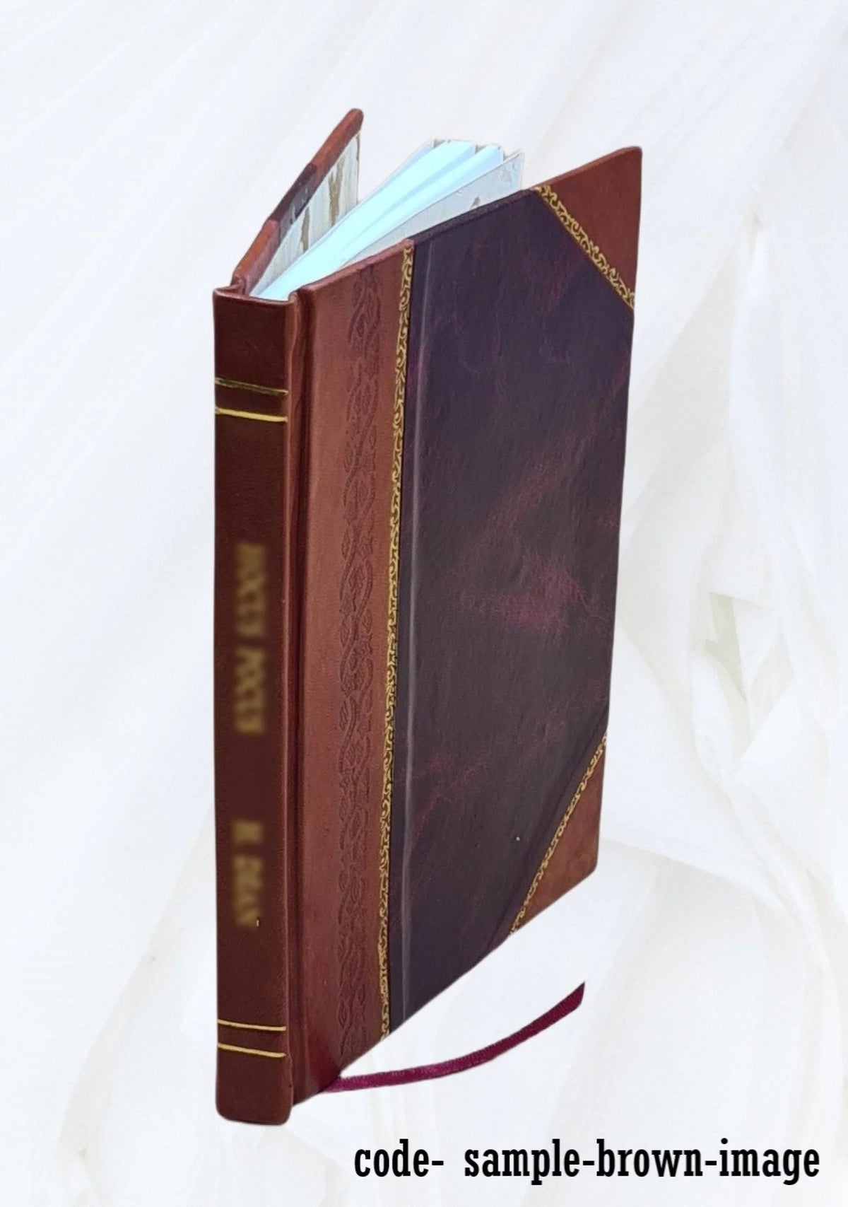 Leather Bound X234