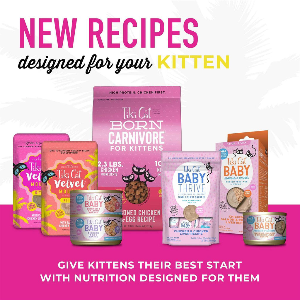 Chicken & Egg Cat Food C3254
