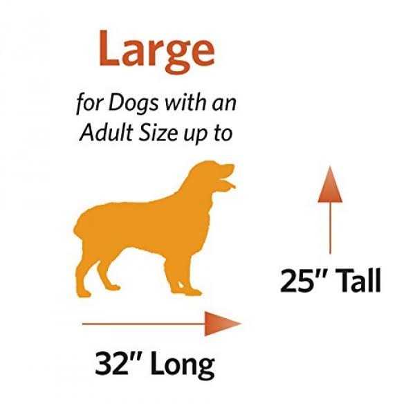 Double Door Dog Crate E725