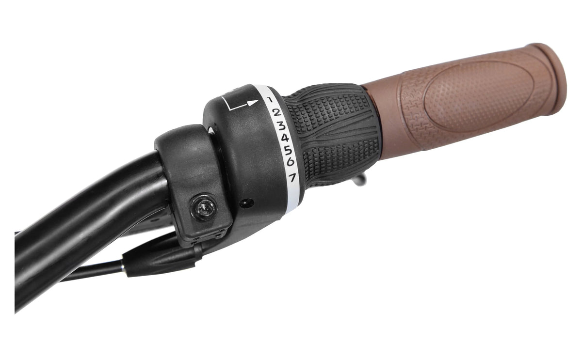 26 In. Satin Cocoa Cruiser Bike E89260