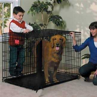Double Door Dog Crate E725