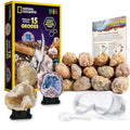 15 Premium Geodes Science Kit V909