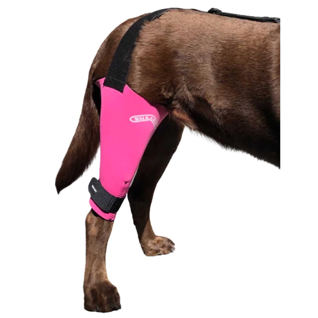 Dog & Cat Knee Brace O86385
