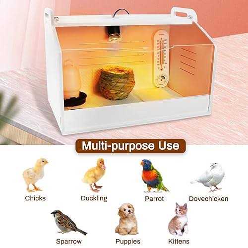 Chick Brooder Brooding Box with Heating Lamp P34116