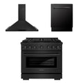 36 In. Gas Range, Range Hood, Dishwasher in Black Stainless Steel O134341