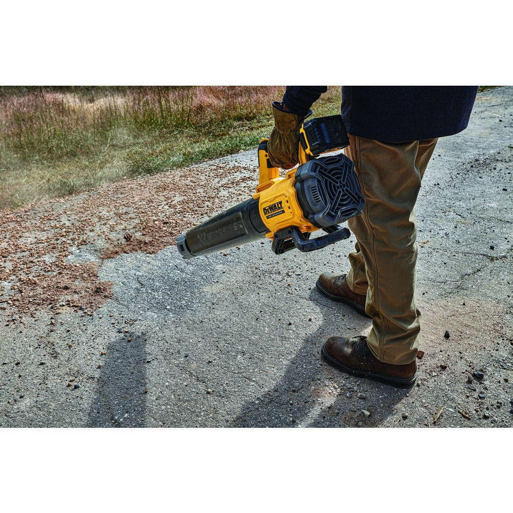 20V Cordless Handheld Blower Kit Z703