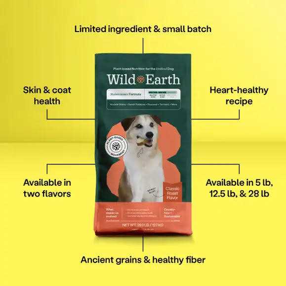 Golden Rotisserie Flavor Dry Dog Food B946620