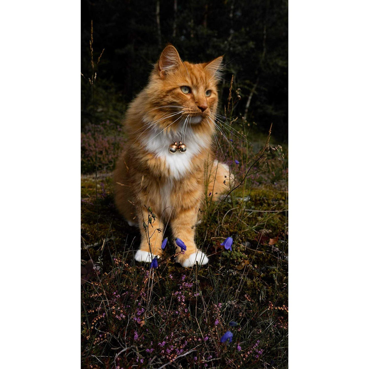 Extra Loud Cat & Dog Bells E4198