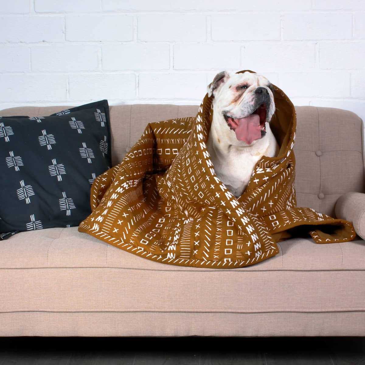 Blanket L66408