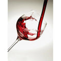 Red Wine Pouring Into A Glass Poster Print 26 x 36 F26408