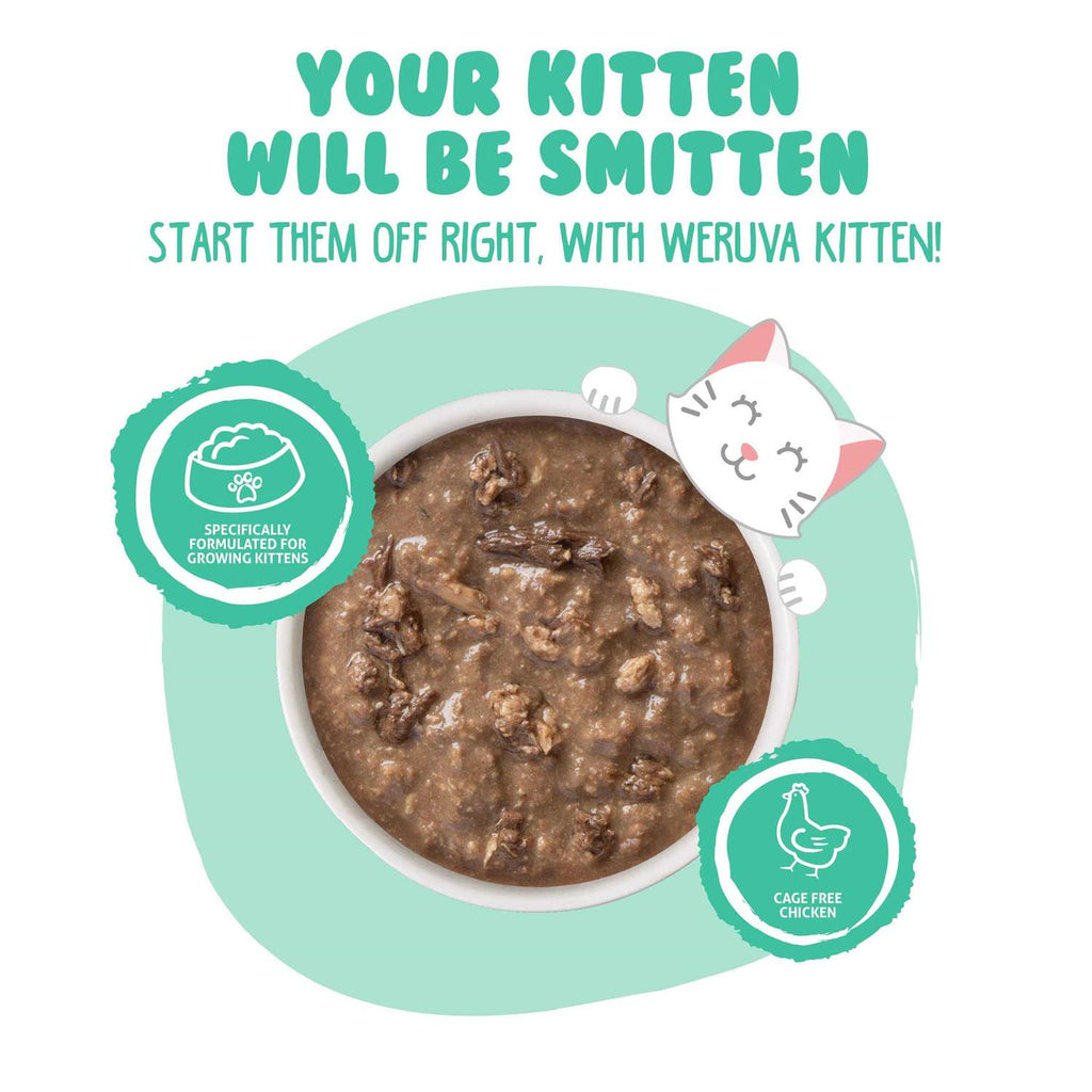 Chicken & Tuna Formula in Gravy Wet Cat Food R992