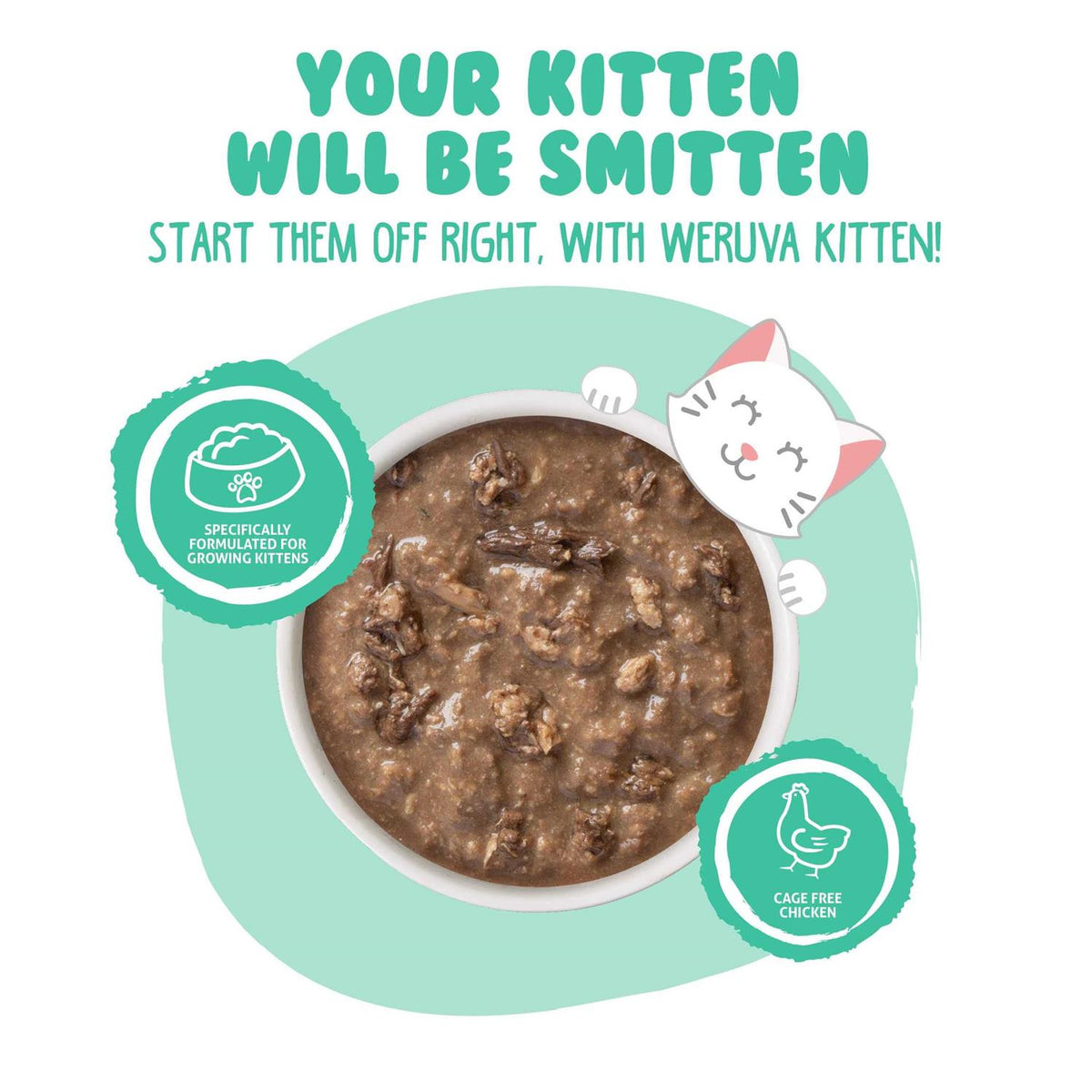 Chicken & Tuna Formula in Gravy Wet Cat Food R992