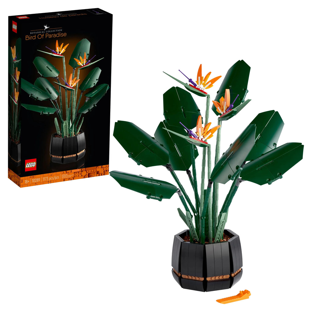 Bird of Paradise Flowers & Plants Model Y801