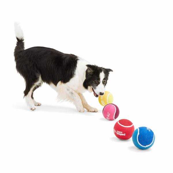Tennis Ball Dog Toy Y654140