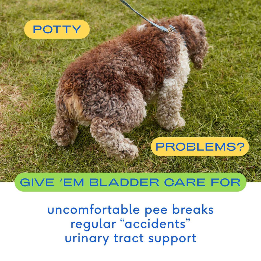 Air Dried Dog Chews Bladder M583