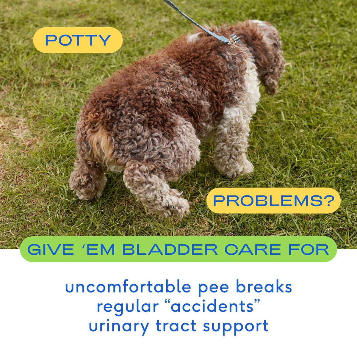 Air Dried Dog Chews Bladder M583