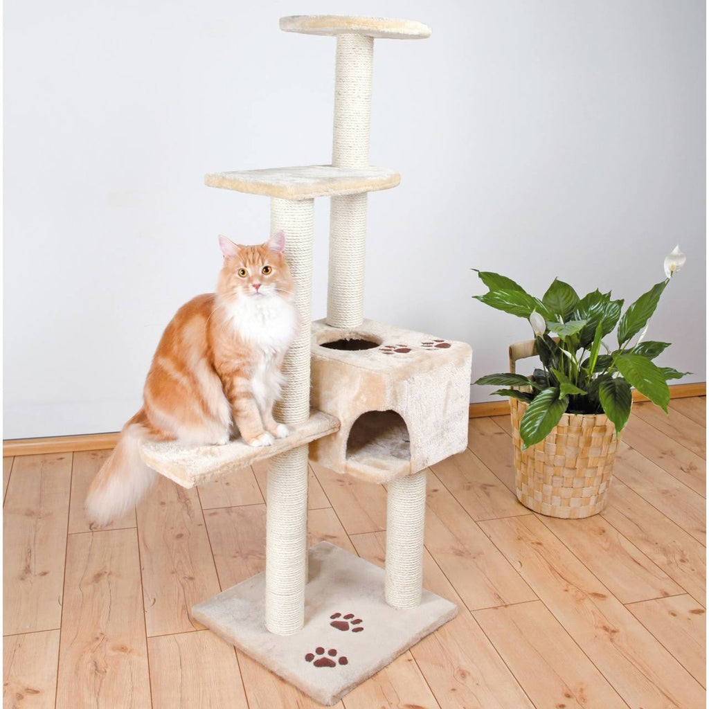 Brown Cat Tree J552