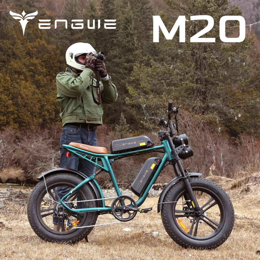 750W 20" Fat Tire Electric Bike with 48V 26Ah Battery G780538