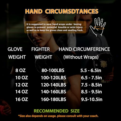 Boxing Gloves 8 10 12 14 16oz R3853