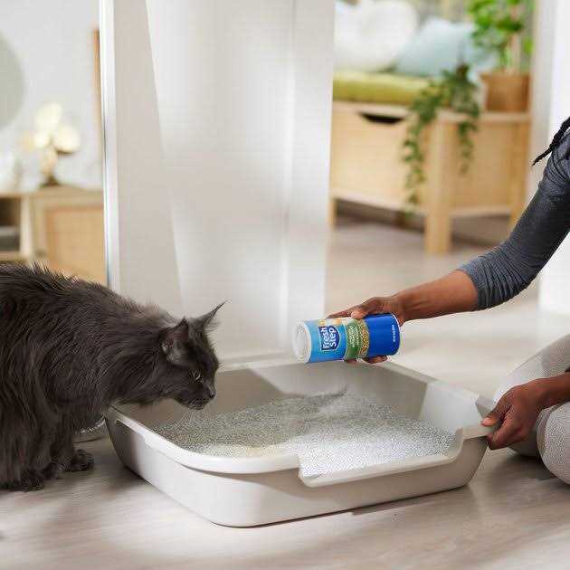 Litter Box Attractant Powder S178937