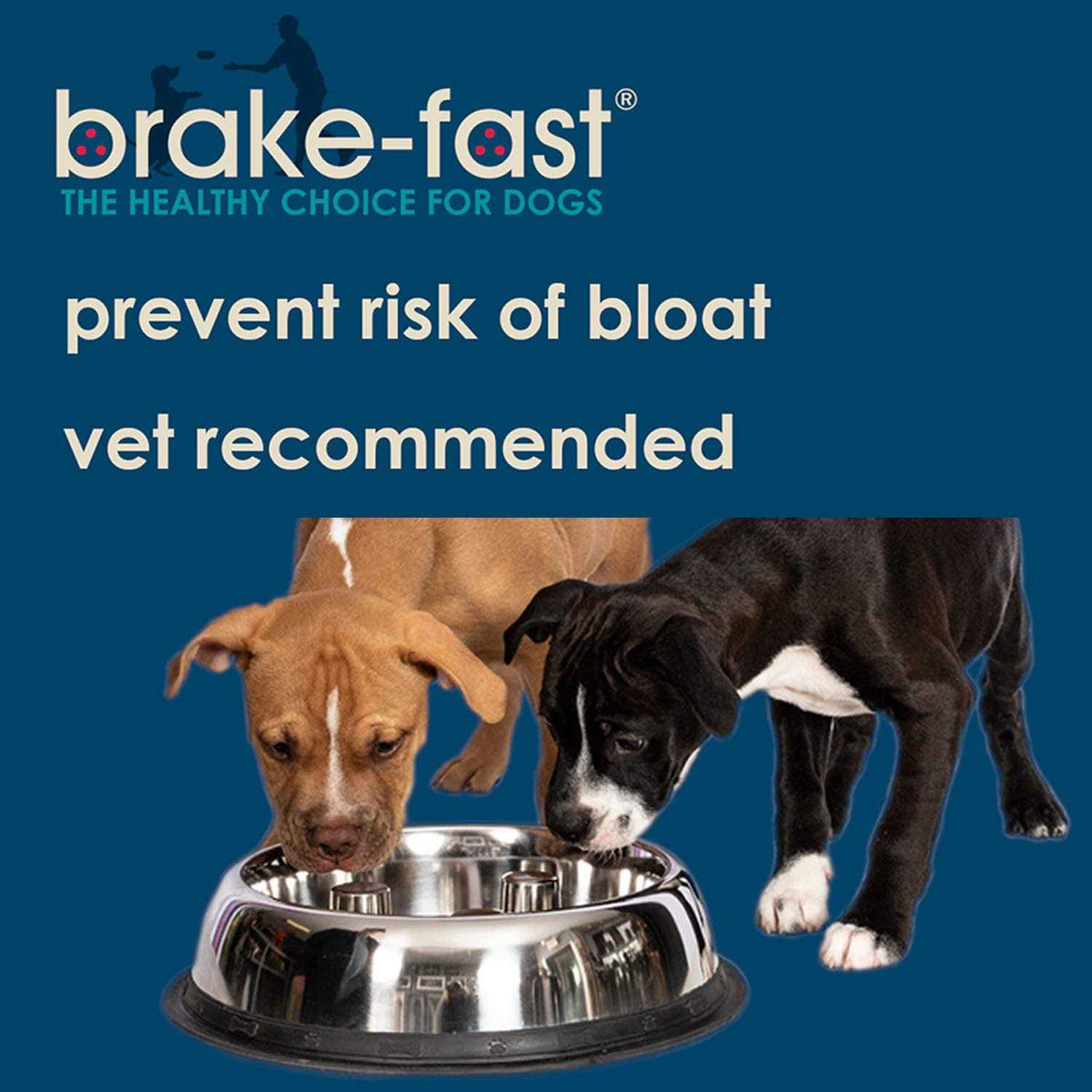 Stainless Steel Dog Bowl Y85098