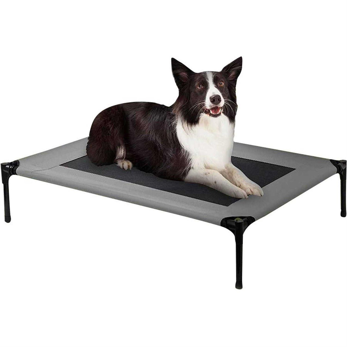 Cot Dog Bed B7922