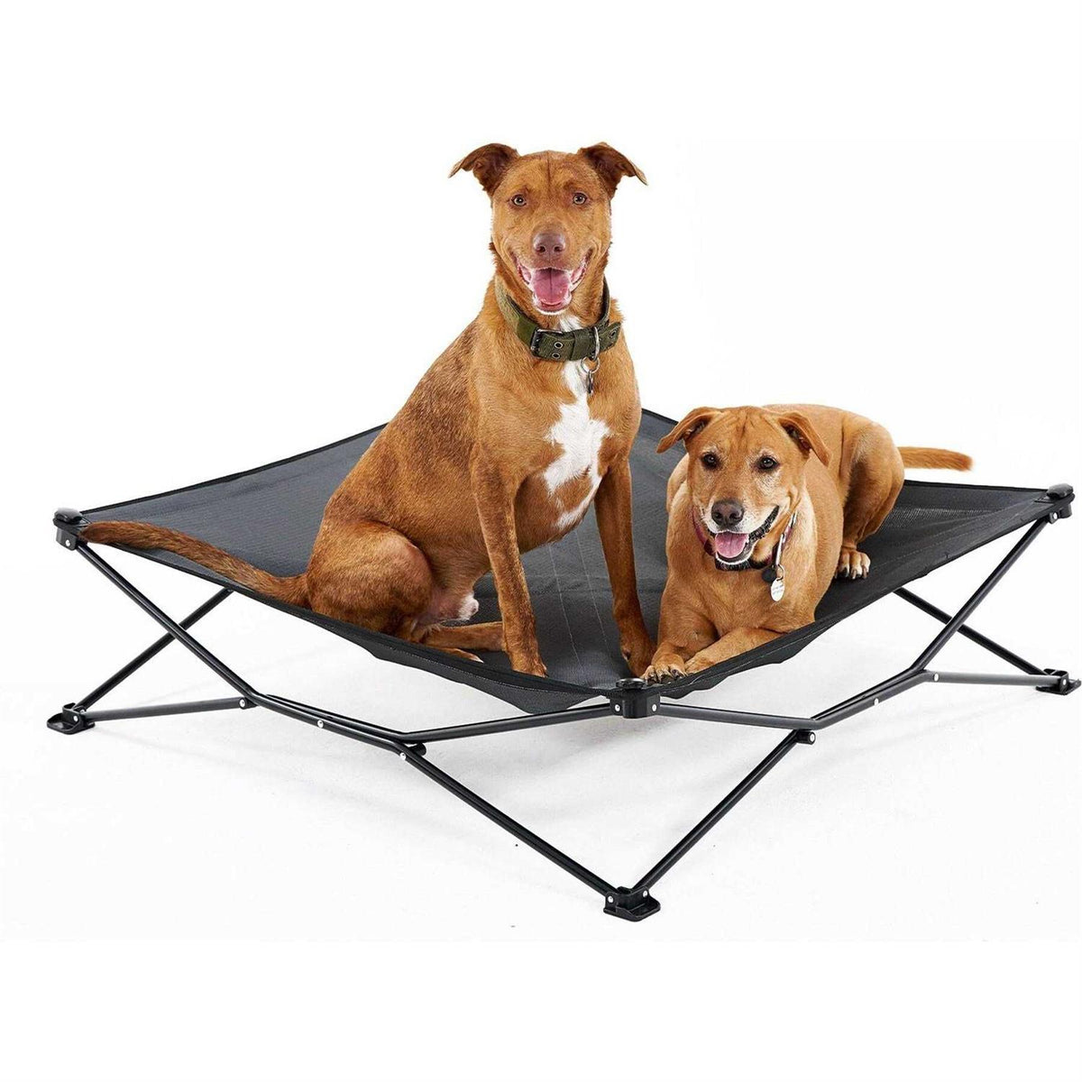 Elevated Pet Bed V161