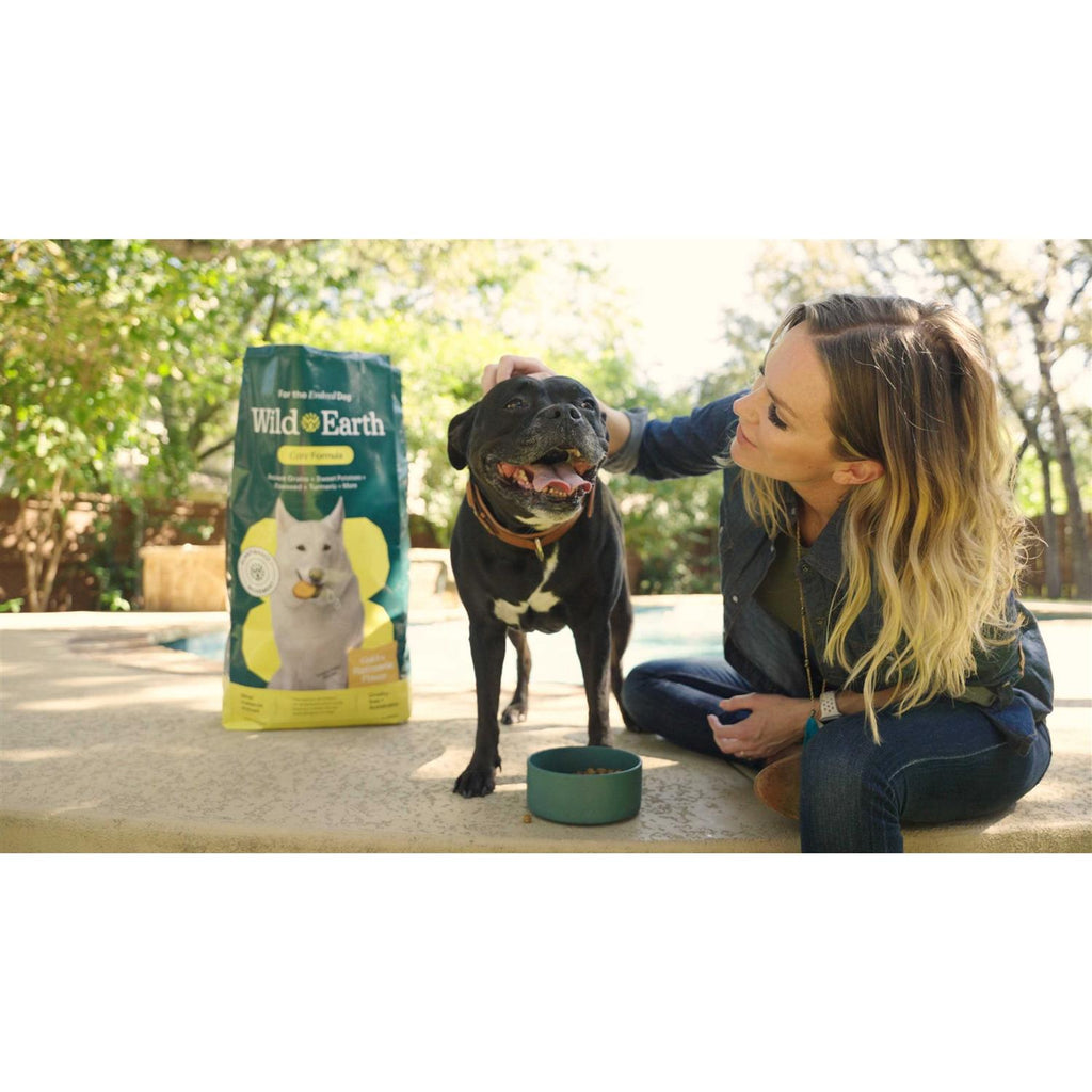 Golden Rotisserie Flavor Dry Dog Food B946620