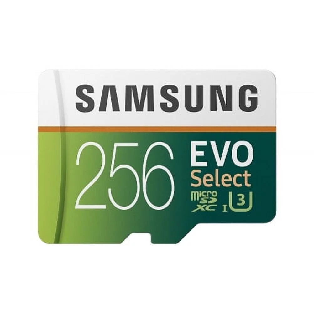 256GB MicroSDXC Class 10 Memory Card with Carry Case V463