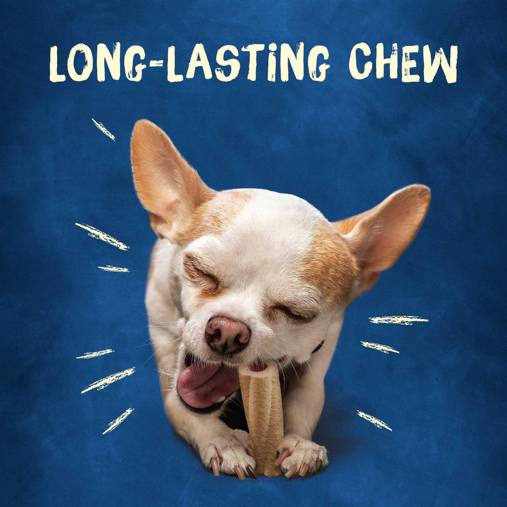 Tiny Dog Treats X43520