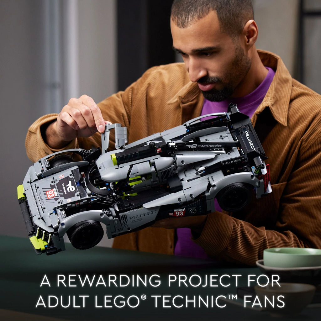 LEGO Technic Building Kit C311281