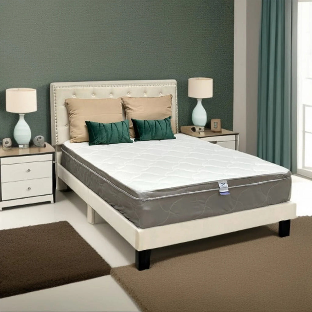 8 Inch Foam & Spring Hybrid Queen Mattress D583
