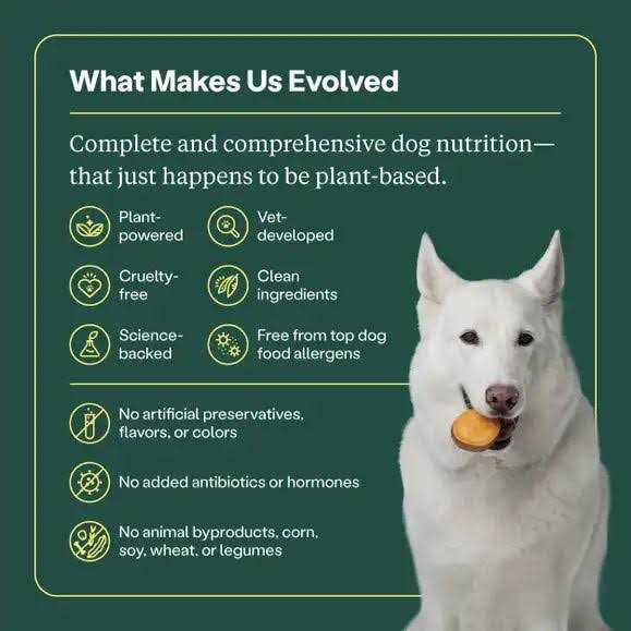 Golden Rotisserie Flavor Dry Dog Food B946620