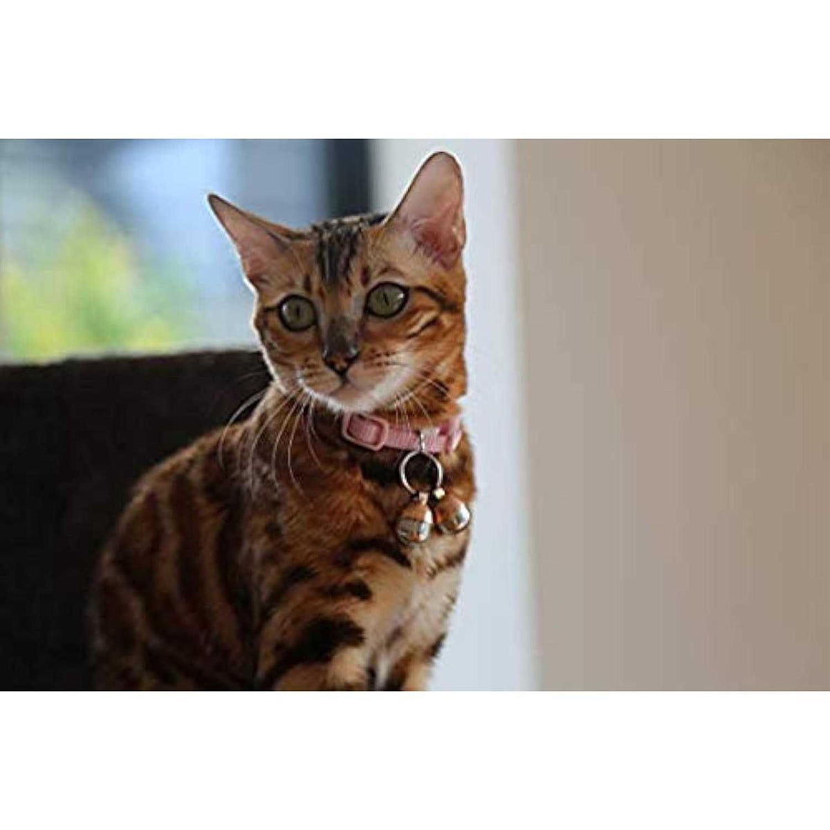Extra Loud Cat & Dog Bells E4198